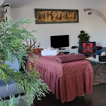 Appartement Luxury - View Of The Center Of Prague